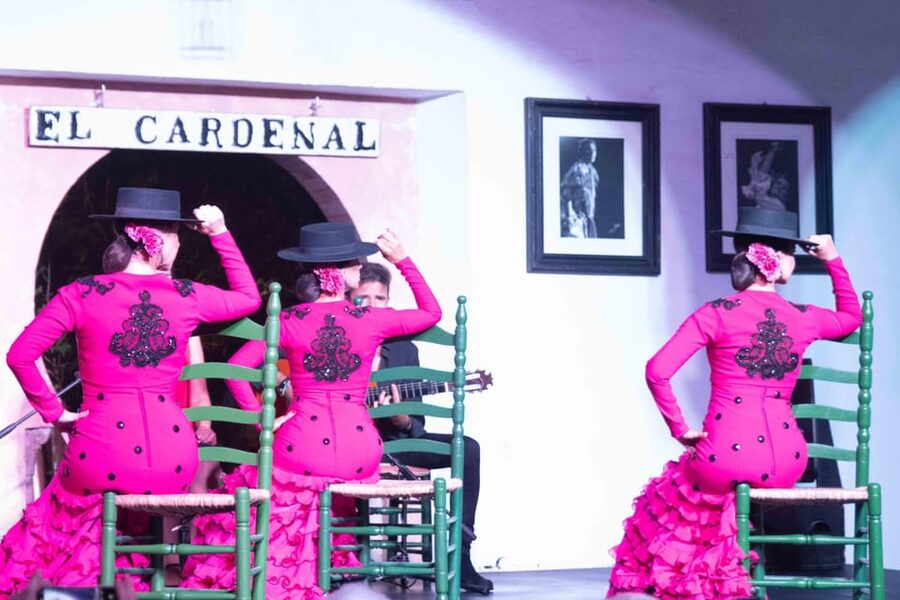 Córdoba: Flamenco Show Ticket with Drinks - Who will enjoy this experience most?