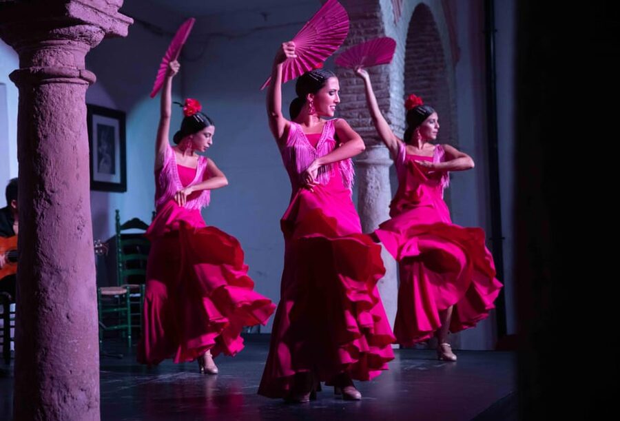 Córdoba: Flamenco Show Ticket with Drinks - Is $29 a fair price?