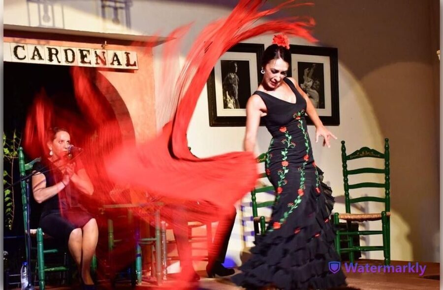 Córdoba: Flamenco Show Ticket with Drinks - What the 80-minute performance feels like