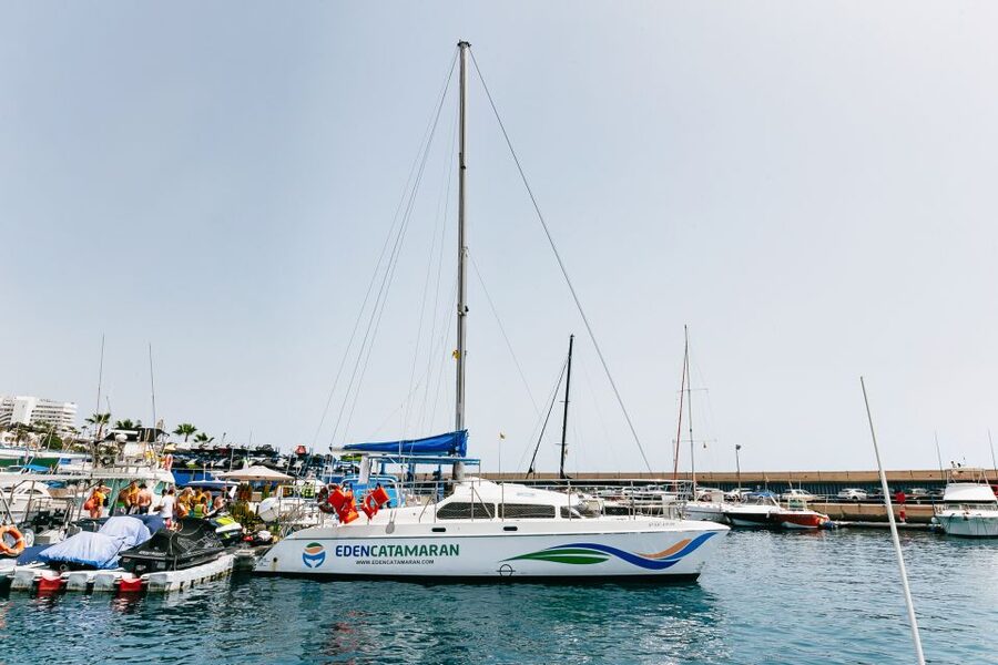 Costa Adeje: Whale Watching Catamaran Tour with Drinks - Who should book this catamaran