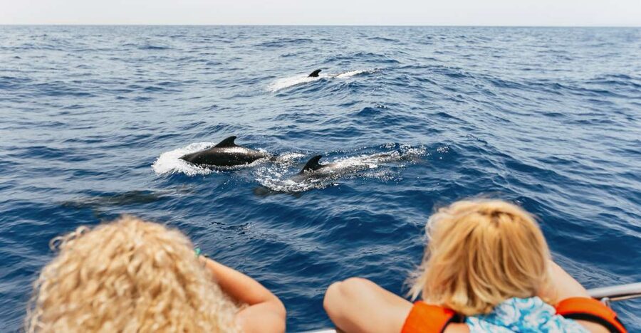 Costa Adeje: Whale Watching Catamaran Tour with Drinks - Leaving Puerto Colón for the southwest coast