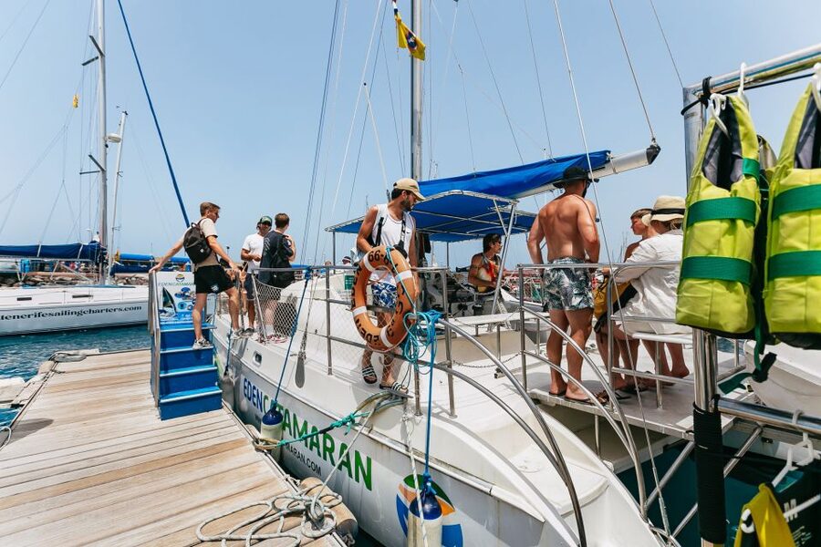 Costa Adeje: Whale Watching Catamaran Tour with Drinks - What the two-hour trip feels like