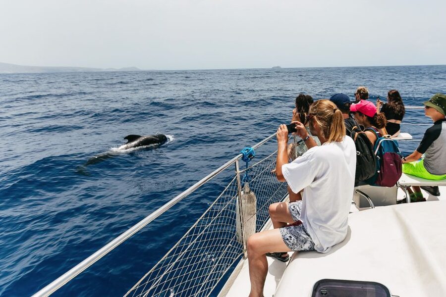 Costa Adeje: Whale Watching Catamaran Tour with Drinks - What the three-hour option adds at Playa Espagueti