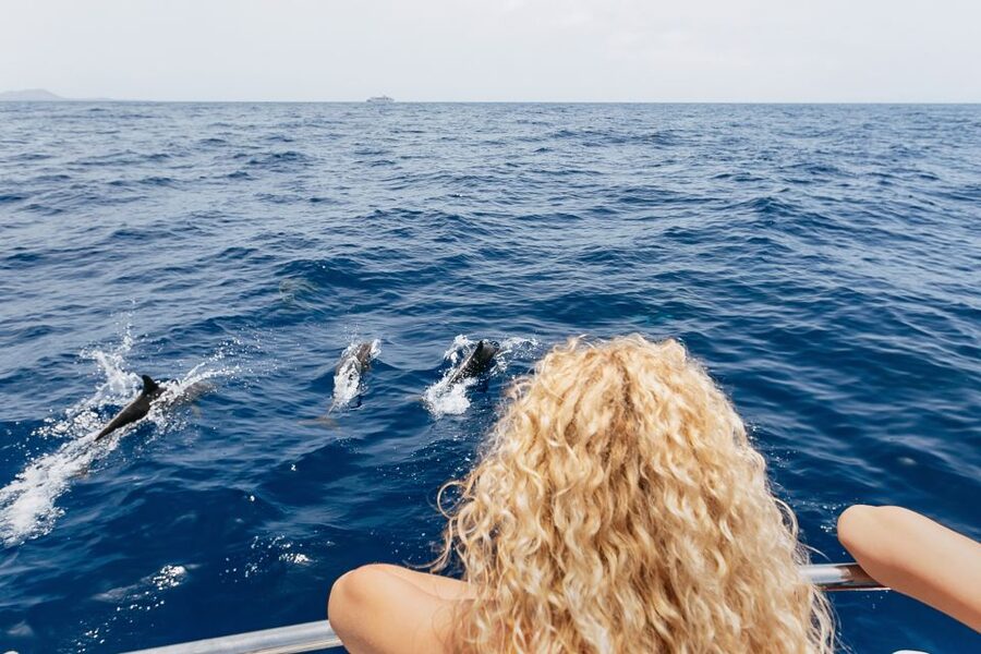 Costa Adeje: Whale Watching Catamaran Tour with Drinks - Drinks, sandwiches, and the practical comforts