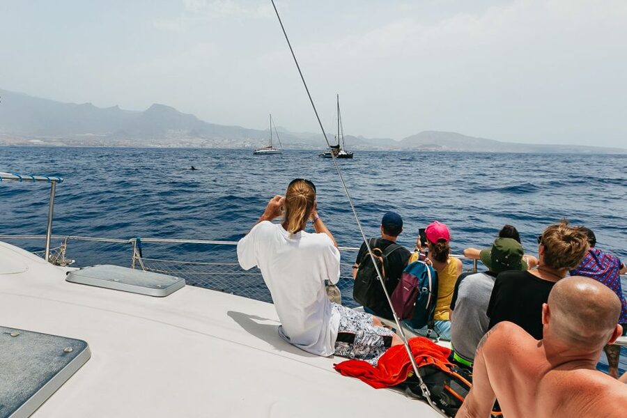 Costa Adeje: Whale Watching Catamaran Tour with Drinks - The value of the $41 price