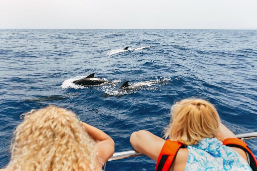 Costa Adeje: Whale Watching Catamaran Tour with Drinks - Searching near the fish farms
