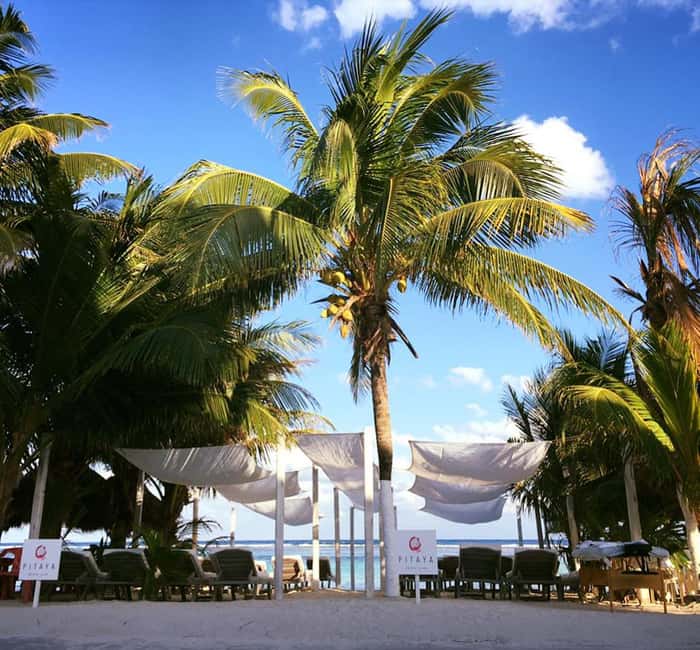Costa Maya: Beach with Open Bar, Massage, Lunch & Snorkeling - From the port gate to Pitaya Beach Club