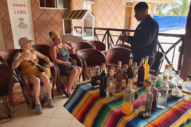 Cozumel 5-Hour Private Bar Crawl Tour - El Mirador offers photos, food, and a pool