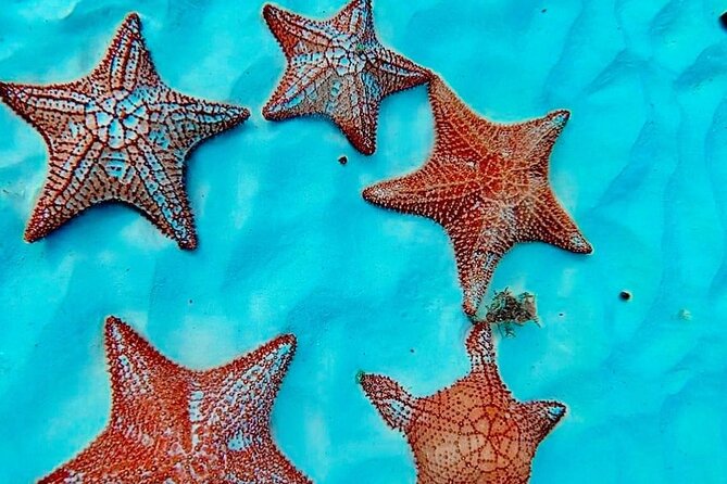 Cozumel Catamaran Fun: Snorkeling, Open Bar & Water Park - One hour at Fury Beach Club
