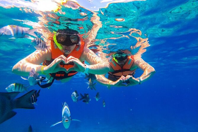 Cozumel Catamaran Tour: Snorkel at Top Reefs & Open Bar - El Cielo’s shallow water and starfish