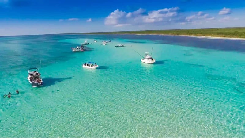Cozumel: El Cielo & Palancar Snorkel with Open Bar & Ceviche - Palancar Reef is the serious snorkeling stop