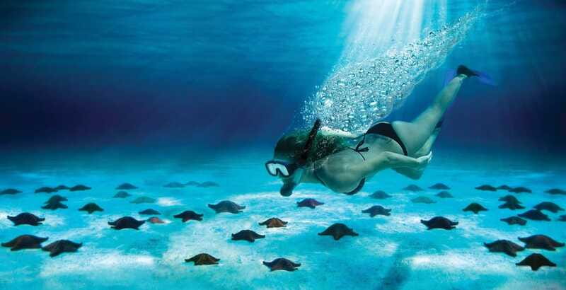 Cozumel: El Cielo & Palancar Snorkel with Open Bar & Ceviche - How the timing works on a four-and-a-half-hour trip