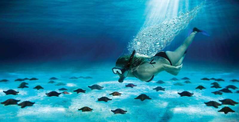 Cozumel: El Cielo & Palancar Snorkel with Open Bar & Ceviche - El Cielo offers clear water and starfish
