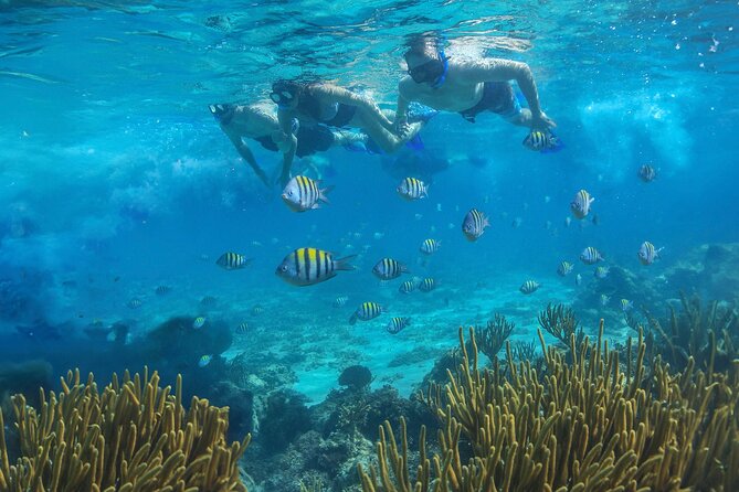 Cozumel Luxury Sailing & Snorkeling with Lunch and Open Bar Onboard - How much time do you really get in Cozumel?