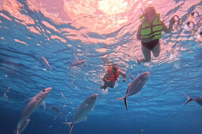 Cozumel: Snorkeling to El Cielo & Cielito with drinks & Snack - Palancar Reef gives you a gentle start