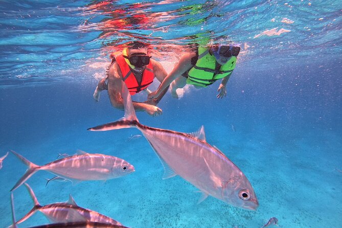 Cozumel: Snorkeling to El Cielo & Cielito with drinks & Snack - What the $65.46 price really covers