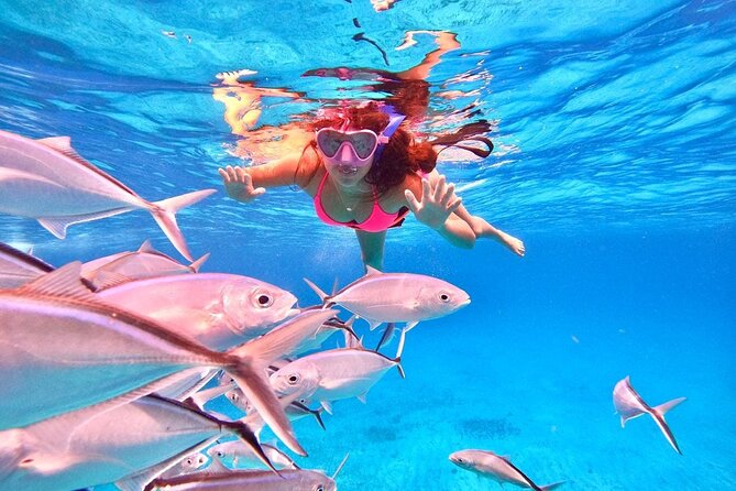 Cozumel: Snorkeling to El Cielo & Cielito with drinks & Snack - What can go wrong on the day