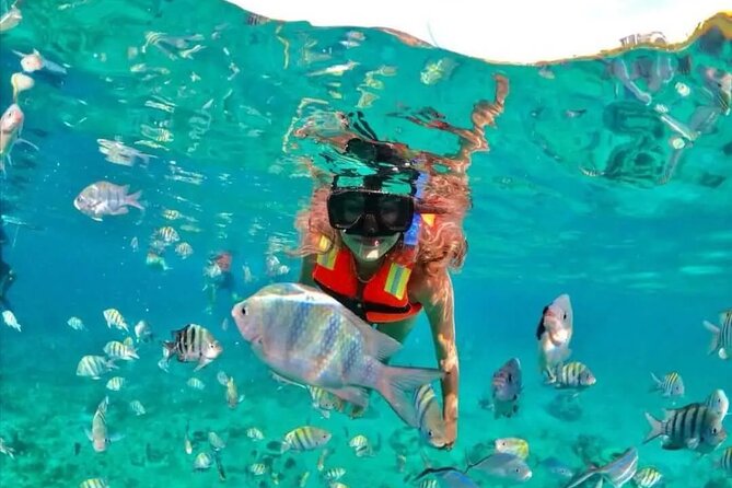 Deluxe Catamaran to Isla Mujeres with Open Bar from Cancun - Buffet lunch at the beach club