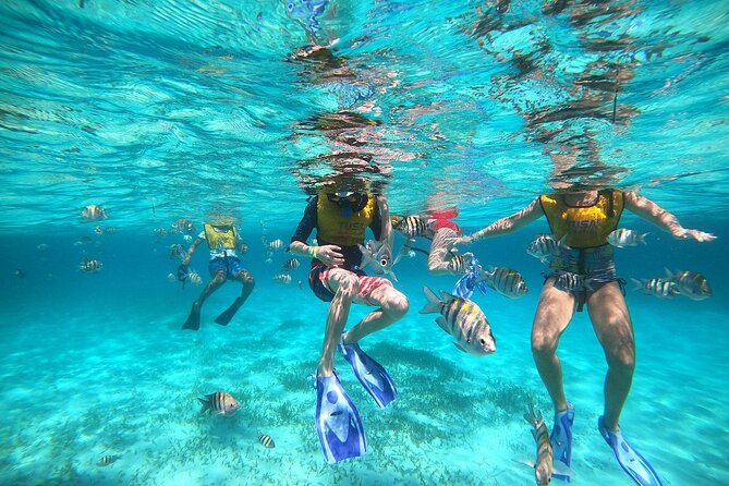 Deluxe Catamaran to Isla Mujeres with Open Bar from Cancun - Transport from Cancun, Puerto Morelos, or Playa del Carmen