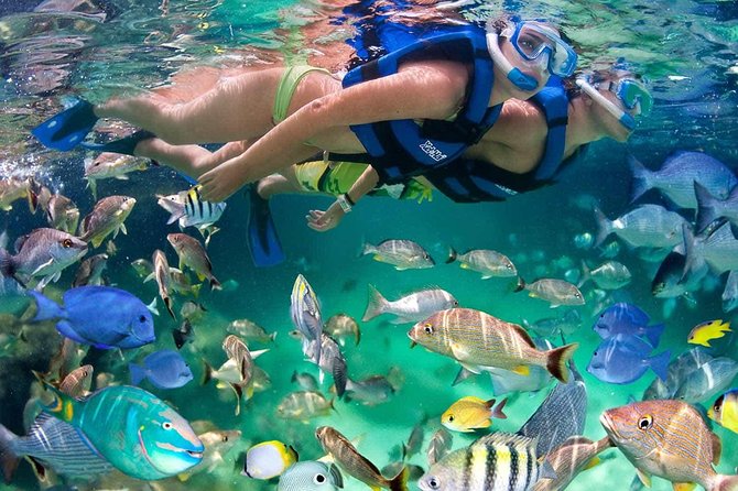 Discover Isla Mujeres tour with snorkel, buffet and open bar - Who will enjoy this tour most