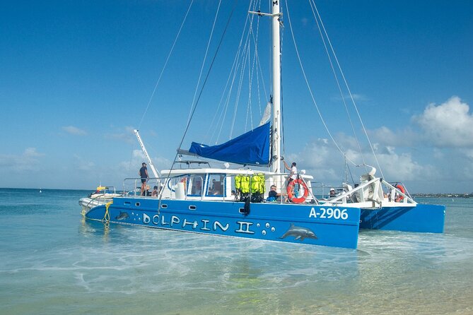 Dolphin Catamaran Snorkel and Sail with Open Bar - Food and open bar: set your expectations carefully