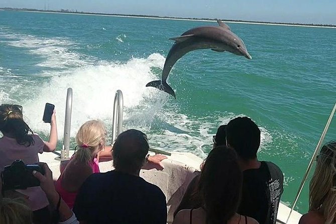 Dolphin House By Private Speed Boat & Drinks & Transfer-Hurghada - Leaving Hurghada by private speedboat
