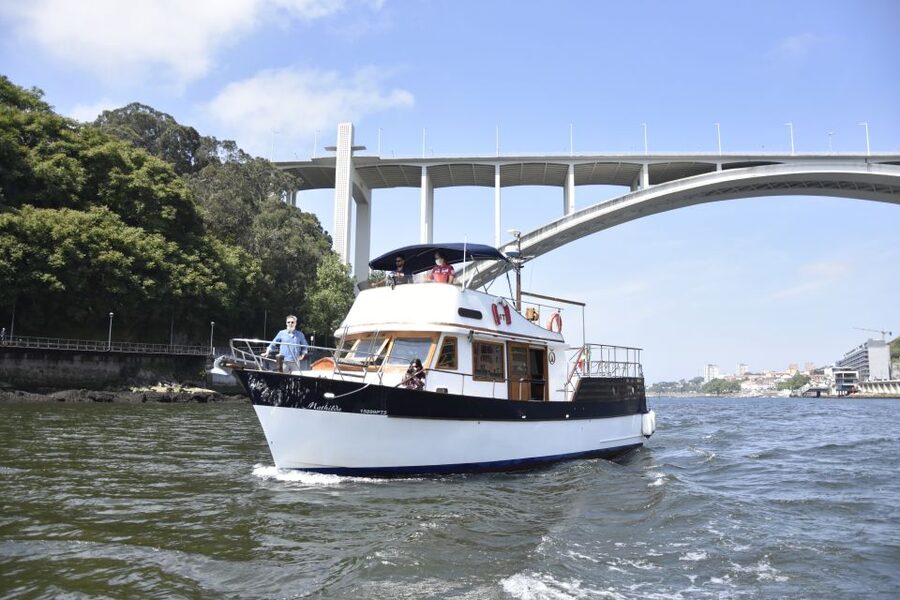 Douro River: Party Boat Tour - Gaia, Dom Luís I, and the six-bridge run