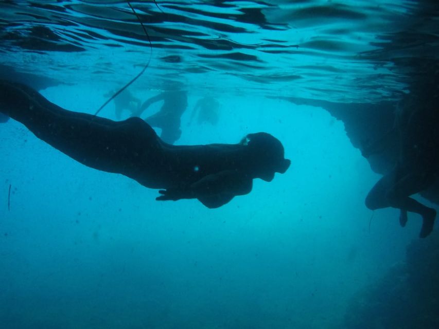 Dubrovnik: Blue Cave & Sunj Beach Boat Tour with Drinks - Swimming into Koločep’s Blue Cave