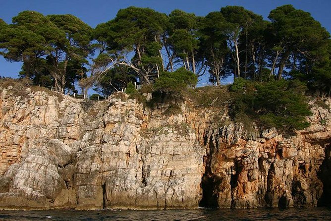 Dubrovnik Elafiti Islands Cruise with Lunch, Drinks and Pickup - Šipan and Suđurađ’s waterfront