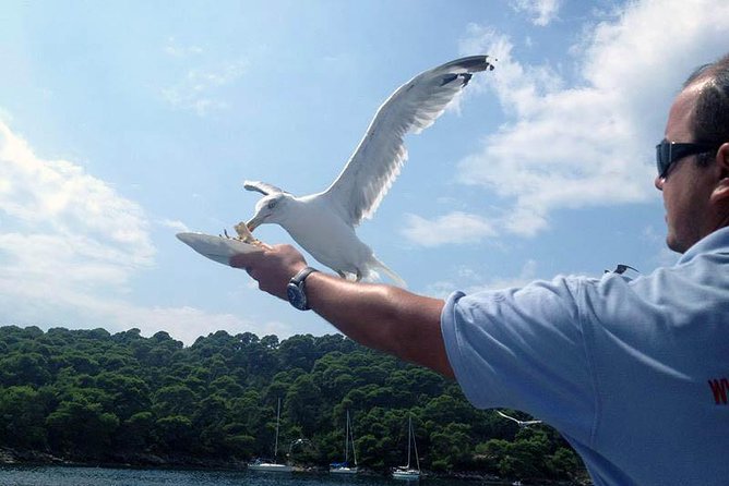 Dubrovnik Elafiti Islands Cruise with Lunch, Drinks and Pickup - Pickup, meeting point, and timing