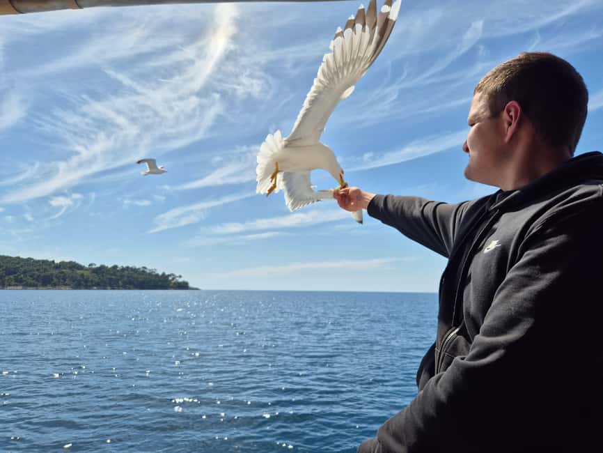 Dubrovnik: Island Boat Tour with Drinks & Lunch - Why this island day works well from Dubrovnik