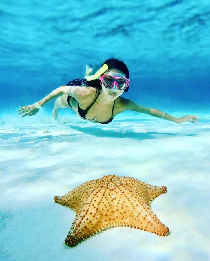 El Cielo and El Cielito in Cozumel with Beach Club, Food, and Open Bar - Key Points to Know Before You Book