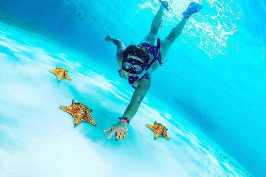 El Cielo and El Cielito in Cozumel with Beach Club, Food, and Open Bar - The Long Trip to Cozumel Sets the Pace