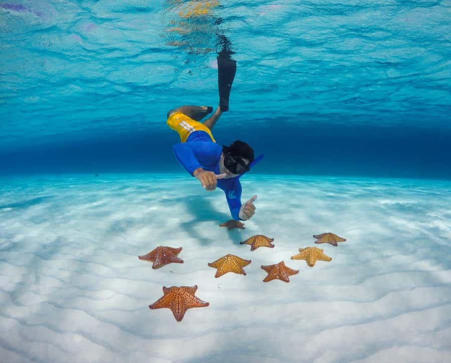 El Cielo and El Cielito in Cozumel with Beach Club, Food, and Open Bar - Palancar Reef Gives You the Underwater Hour