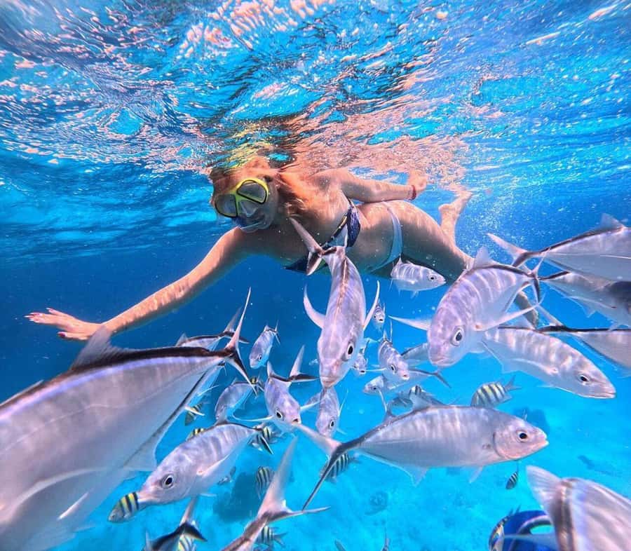 El Cielo and El Cielito in Cozumel with Beach Club, Food, and Open Bar - El Cielito Adds an Hour of Slow Caribbean Time