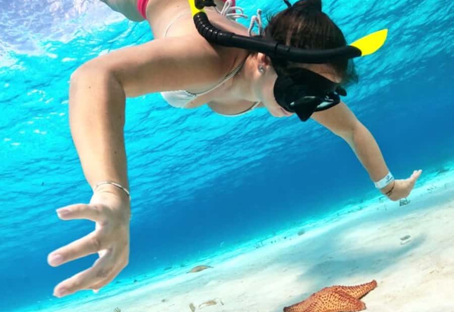 El Cielo and El Cielito in Cozumel with Beach Club, Food, and Open Bar - Is $180 a Fair Price?