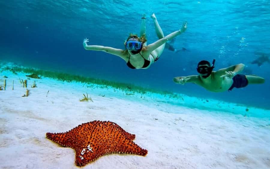 El Cielo and El Cielito in Cozumel with Beach Club, Food, and Open Bar - Who Will Enjoy This Cozumel Excursion?