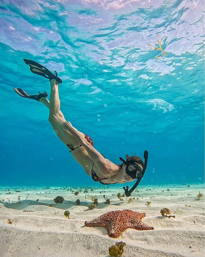 El Cielo and El Cielito in Cozumel with Beach Club, Food, and Open Bar - What the Catamaran Day Feels Like