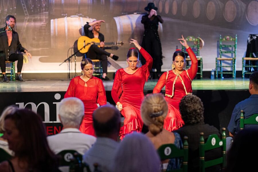 Estepona: Andalusian Flamenco Show Entry Ticket with Drink - Key points to know before booking