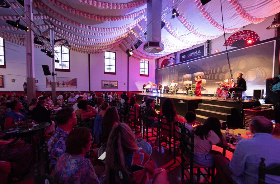 Estepona: Andalusian Flamenco Show Entry Ticket with Drink - Seating, atmosphere, and comfort