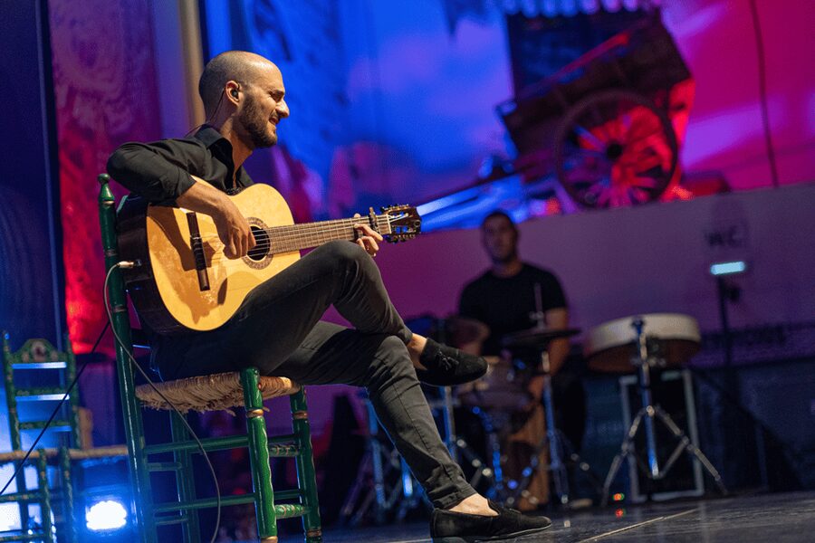Estepona: Andalusian Flamenco Show Entry Ticket with Drink - Value, cancellation, and practical details