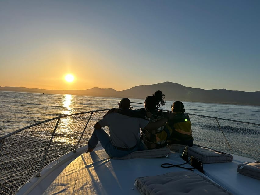 Estepona: Dolphin Searching Sunset Cruise with Drink & Snack - A sunset cruise with dolphins as the bonus