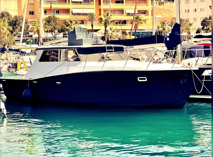 Estepona: Dolphin Searching Sunset Cruise with Drink & Snack - Is $41 a fair price?