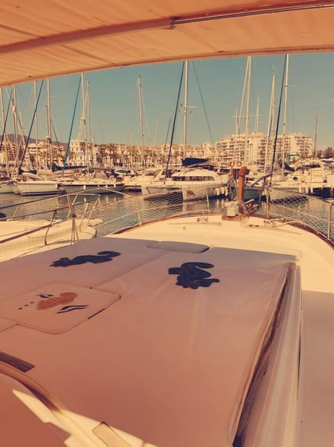 Estepona: Dolphin Searching Sunset Cruise with Drink & Snack - Should you book the Estepona dolphin cruise?