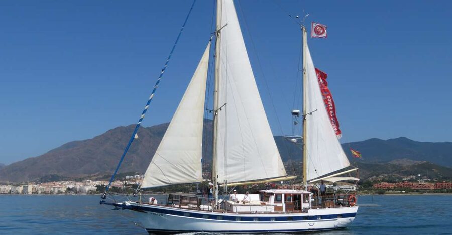 Estepona: Dolphin Watching Sailboat Cruise with Drink - Key points to know before booking