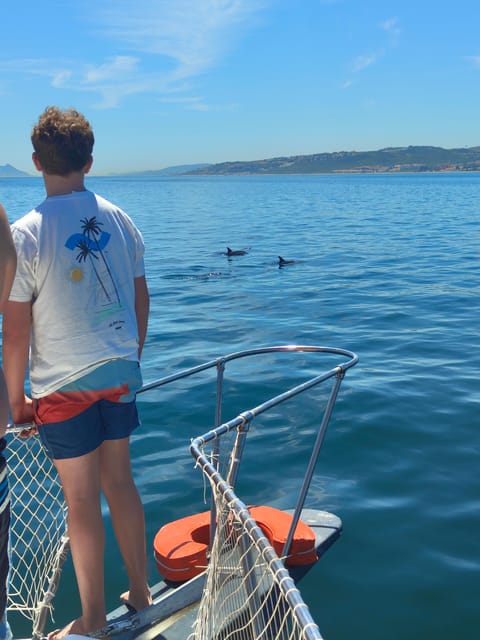 Estepona: Dolphins Searching Sea Cruise with Drink & Snacks - Why sunset departures make sense