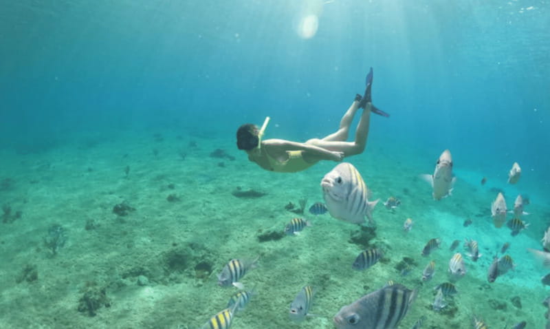 Explore the sea of cozumel in a transprent boat with drinks and snorkel. - Two drinks and a relaxed pace