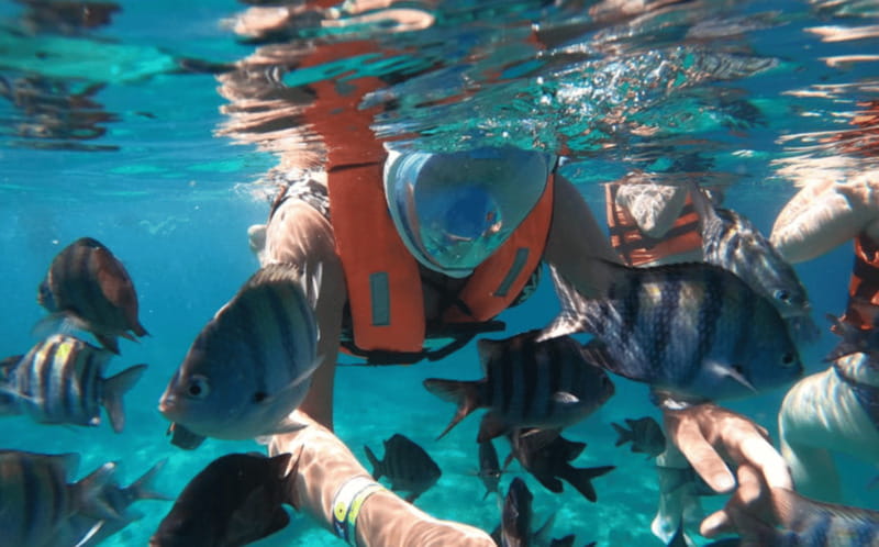 Explore the sea of cozumel in a transprent boat with drinks and snorkel. - Who will enjoy this most