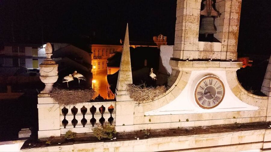 Faro: Night Segway Tour with Cocktails - Why This Faro Evening Works