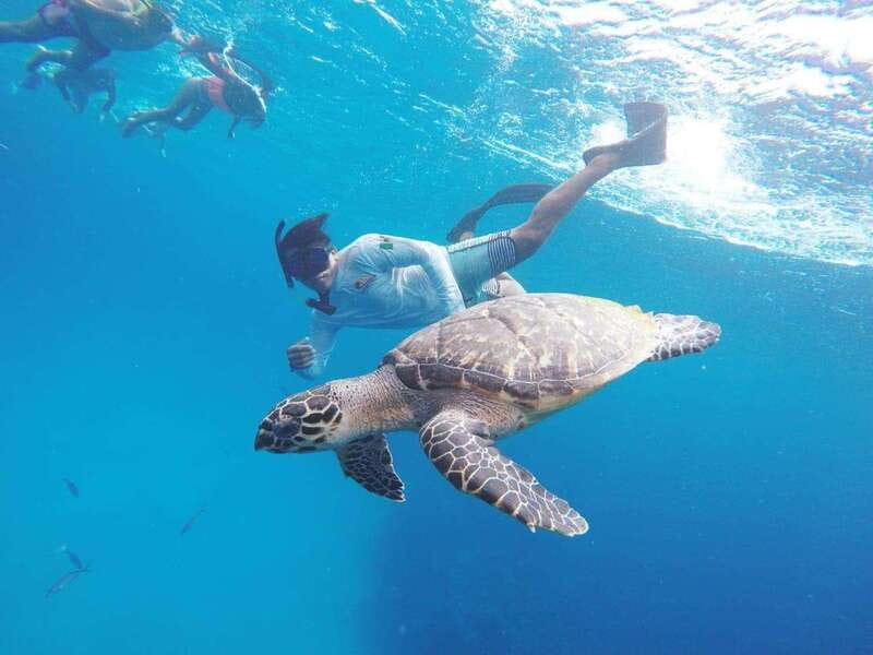 From Cozumel: 3 Reefs Boat Tour with Drinks and Snorkeling - Three reefs, three different kinds of snorkeling